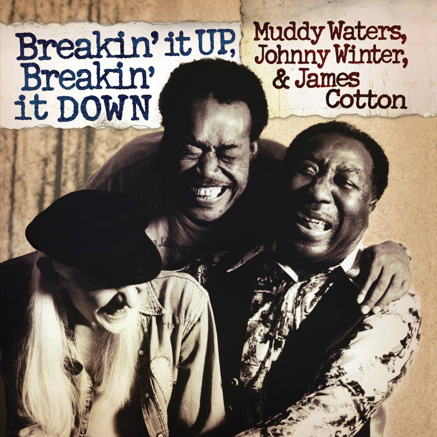 Muddy Waters - Breakin' It Up Breakin' It Down   - VINYL LP price history on PriceWatchPro