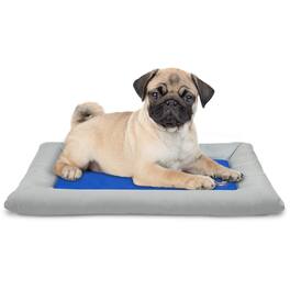 Arf Pets - Self Dog Cooling Mat, Solid Gel Based Pet Cooling Mat with Foam Based Bolster Bed - 22"x30" - Blue