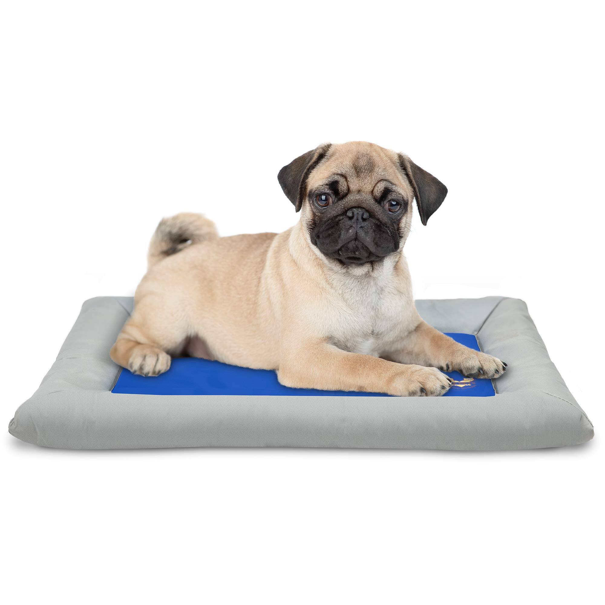Front. Arf Pets - Self Dog Cooling Mat, Solid Gel Based Pet Cooling Mat with Foam Based Bolster Bed - 22"x30" - Blue.