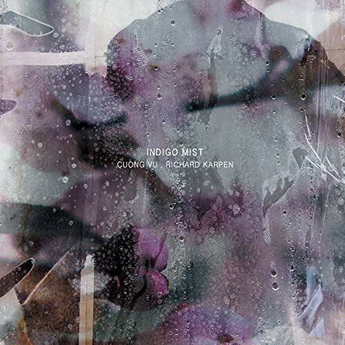 Indigo Mist - That the Days Go By & Never Come Again   - COMPACT DISCS [CD] price history on PriceWatchPro