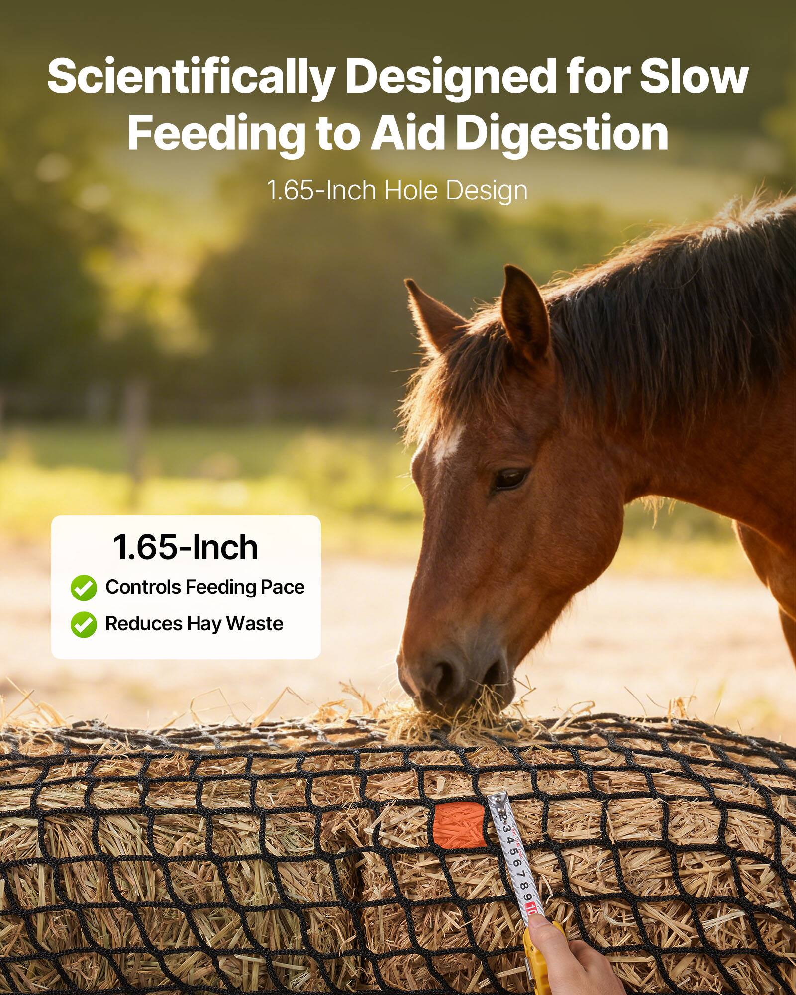 Scientifically Designed for Slow Feeding to Aid Digestion  
1.65-Inch Hole Design  

1.65-Inch  
- Controls Feeding Pace  
- Reduces Hay Waste
