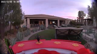 Birdfy Hummingbird Extension Overview Video video 0 minutes 10 seconds