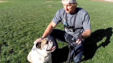 Man and dog