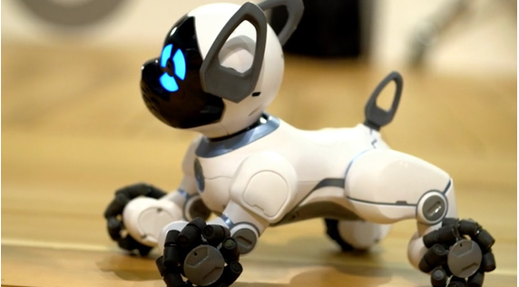 Robot dog