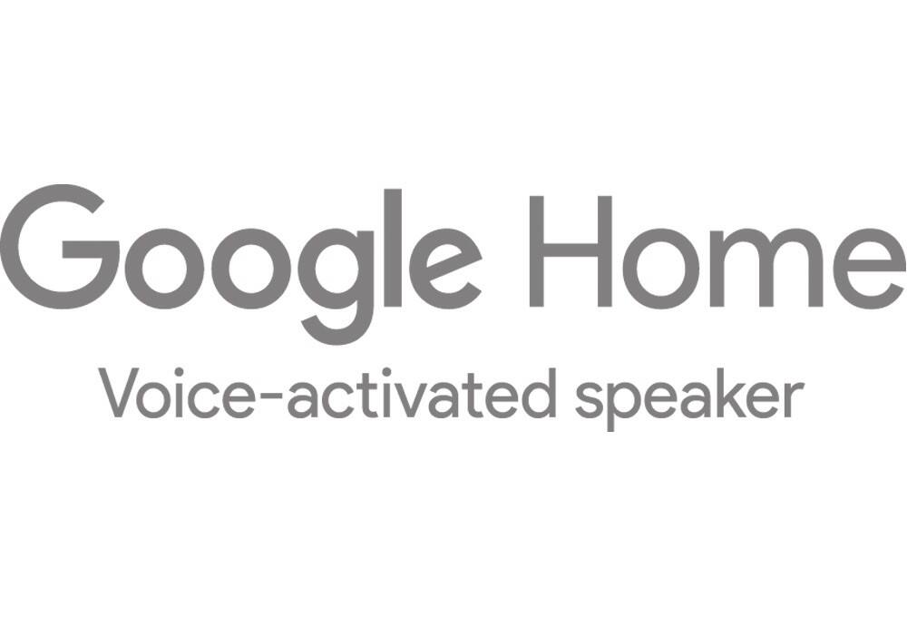 best buy google home accessories