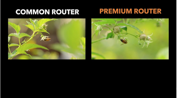 Router