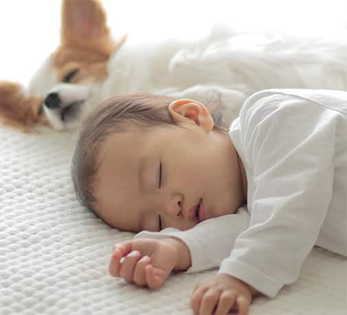 Baby and dog sleeping