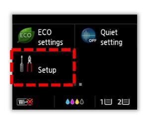 LCD screen inset