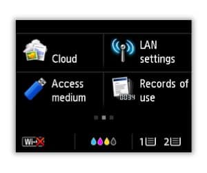 LCD screen inset