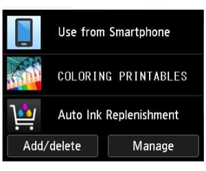 LCD screen inset