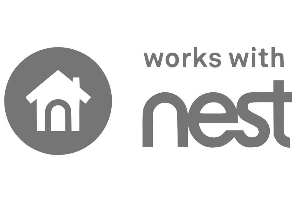 nest works with google