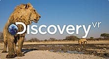 Discovery VR