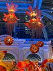 Bellagio Hotel, click to load a larger version