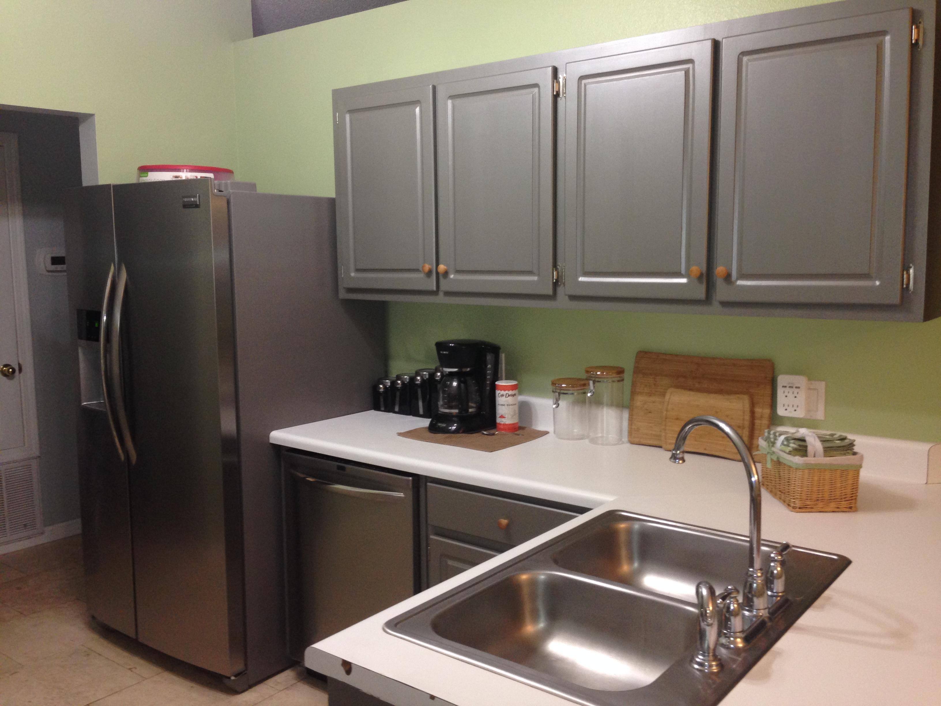 Dishwasher and fridge, click to load a larger version