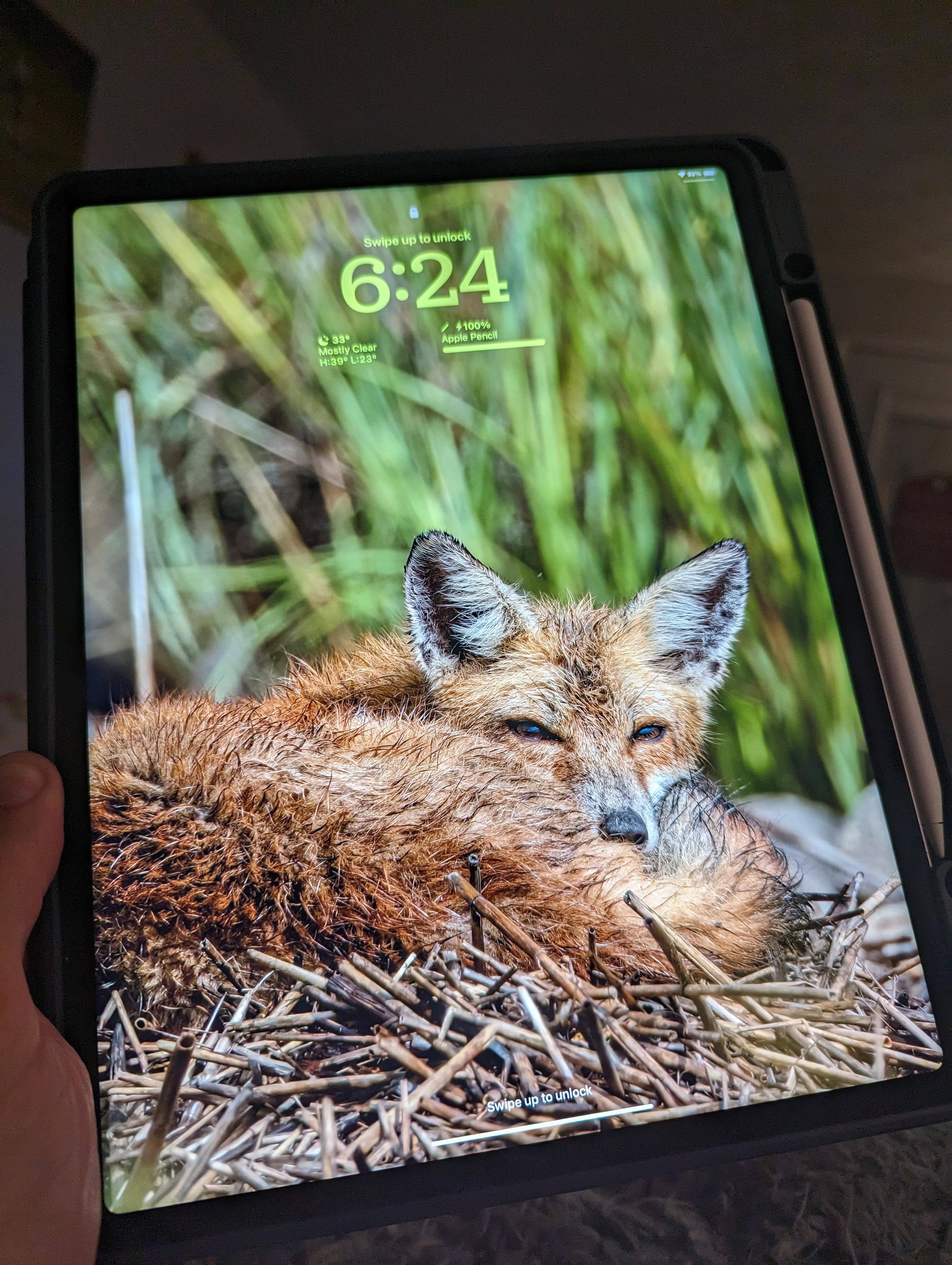 Customer provided image, click to load a larger version