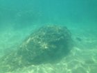 6feet under Maui beach water, click to load a larger version
