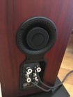 Back of the speaker with sound dampener inserted (comes in 2 pieces), click to load a larger version