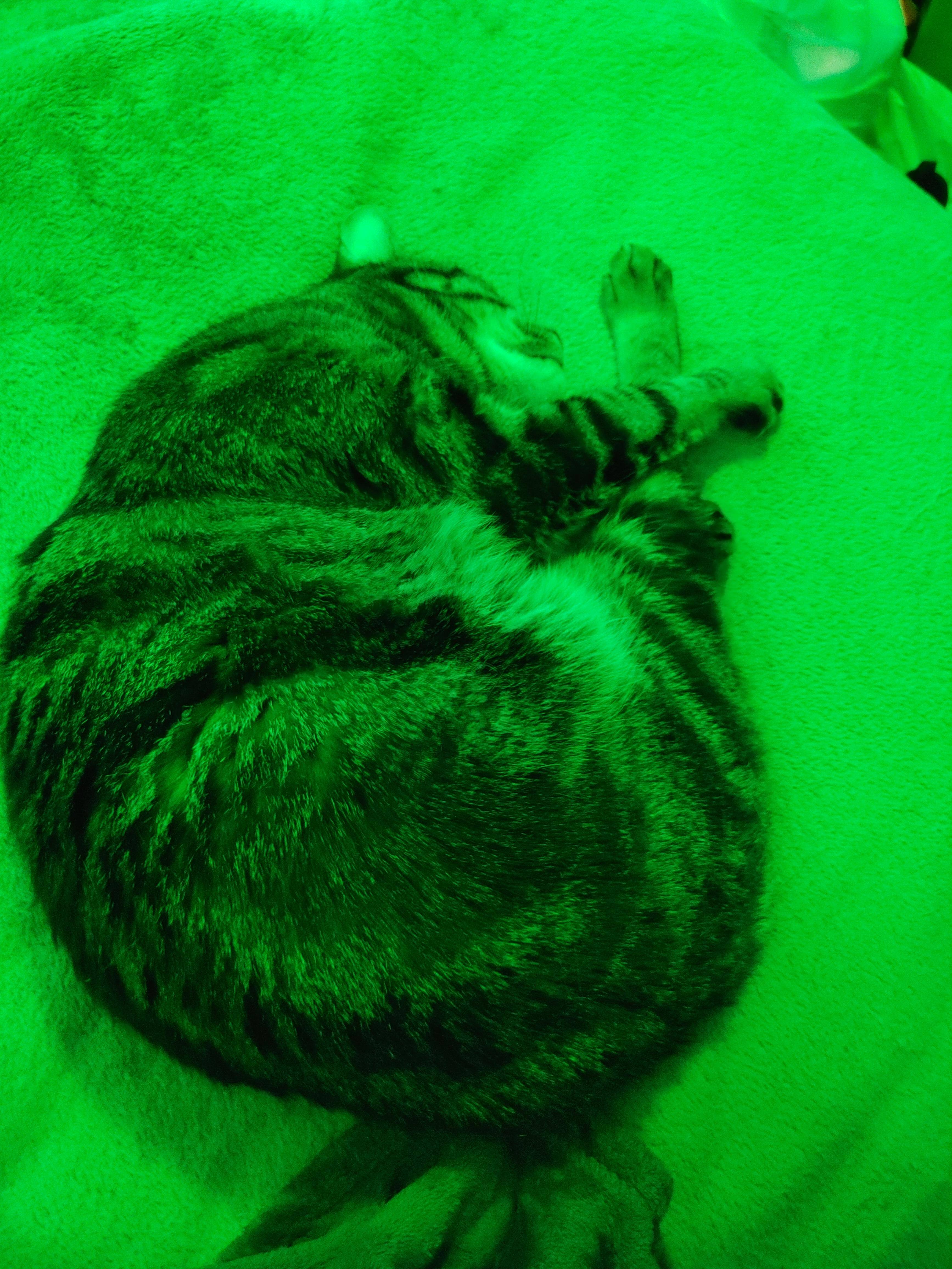 Customer provided image, click to load a larger version