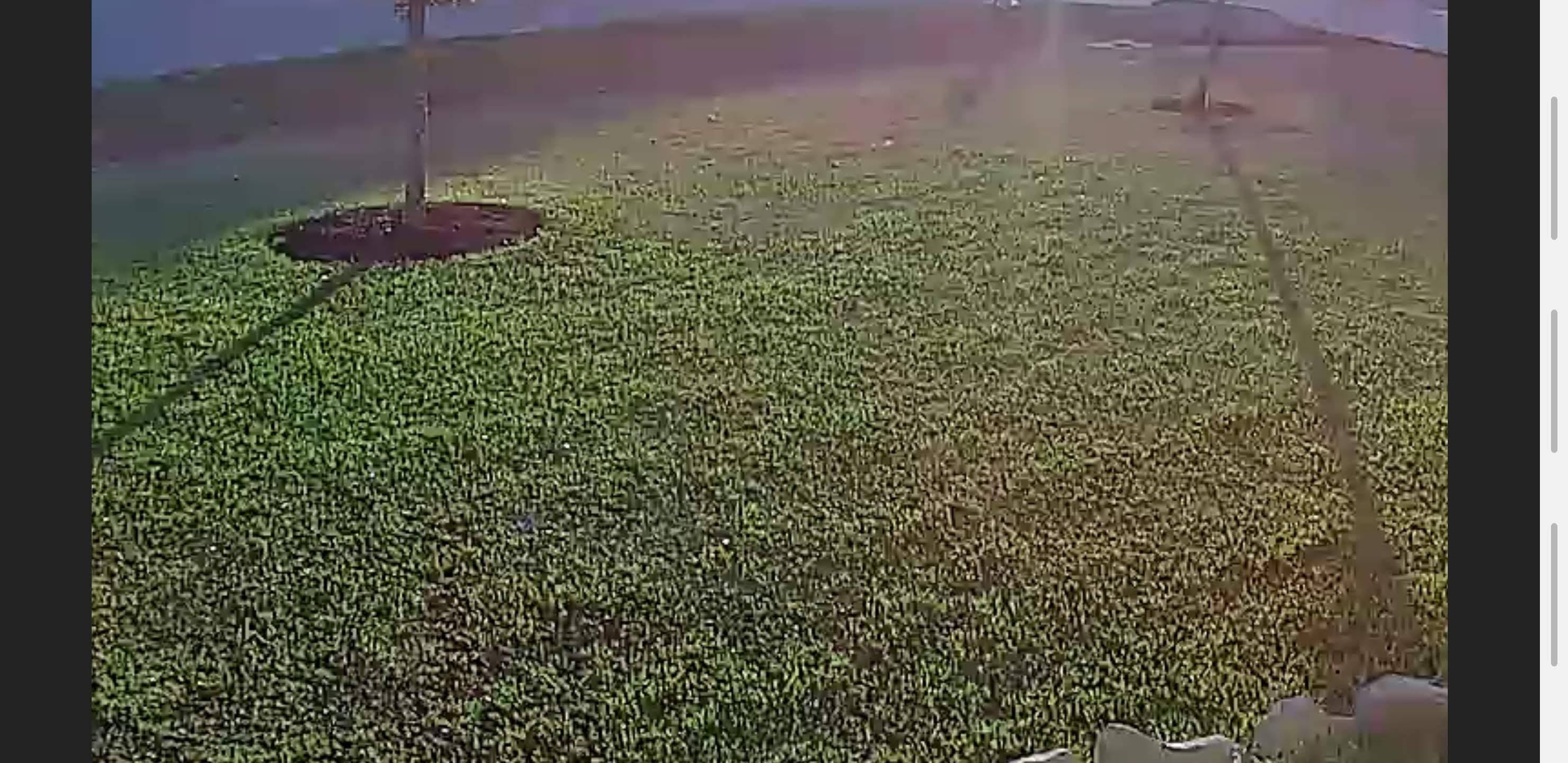 Sometimes a pixelated circle persists. Even near the end of the video you can see it near the street., click to load a larger version