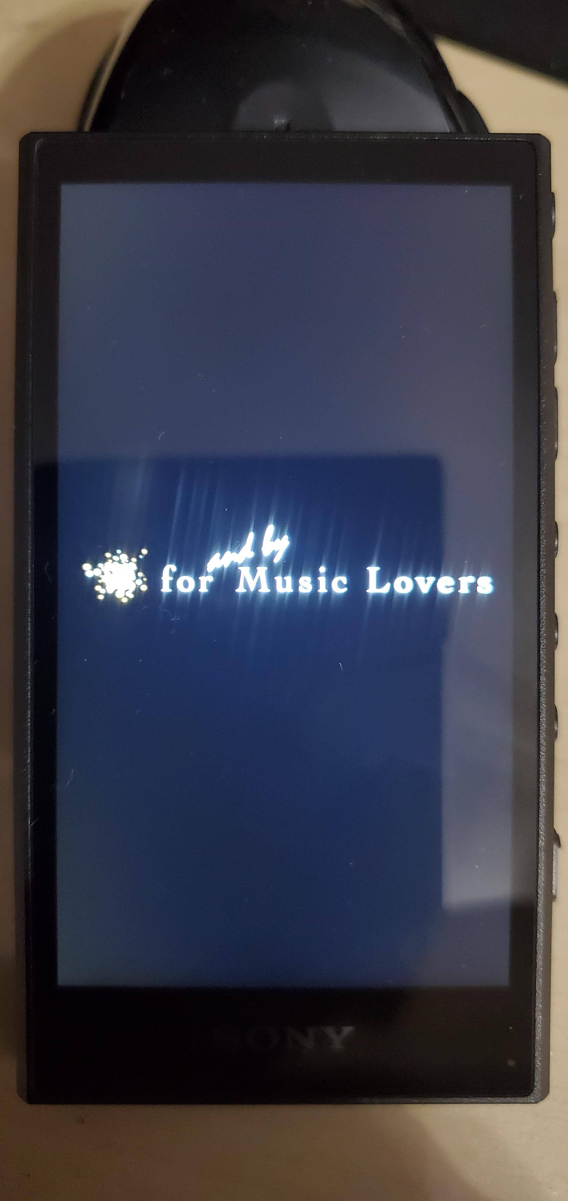 2/18まで[極美品]SONY NW-A306 ブラック32GB Sony Walkman A Series NW-A306 High-Resolution Digital Audio Player