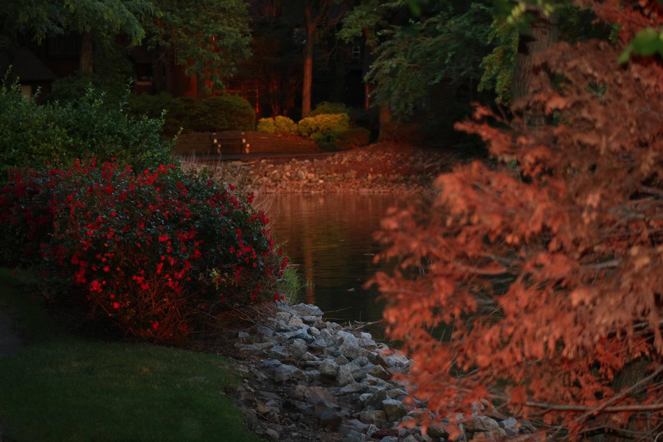 Night fall in the inlet, click to load a larger version