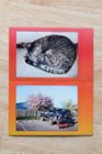 Taken with Instax Mini Noe 90, click to load a larger version