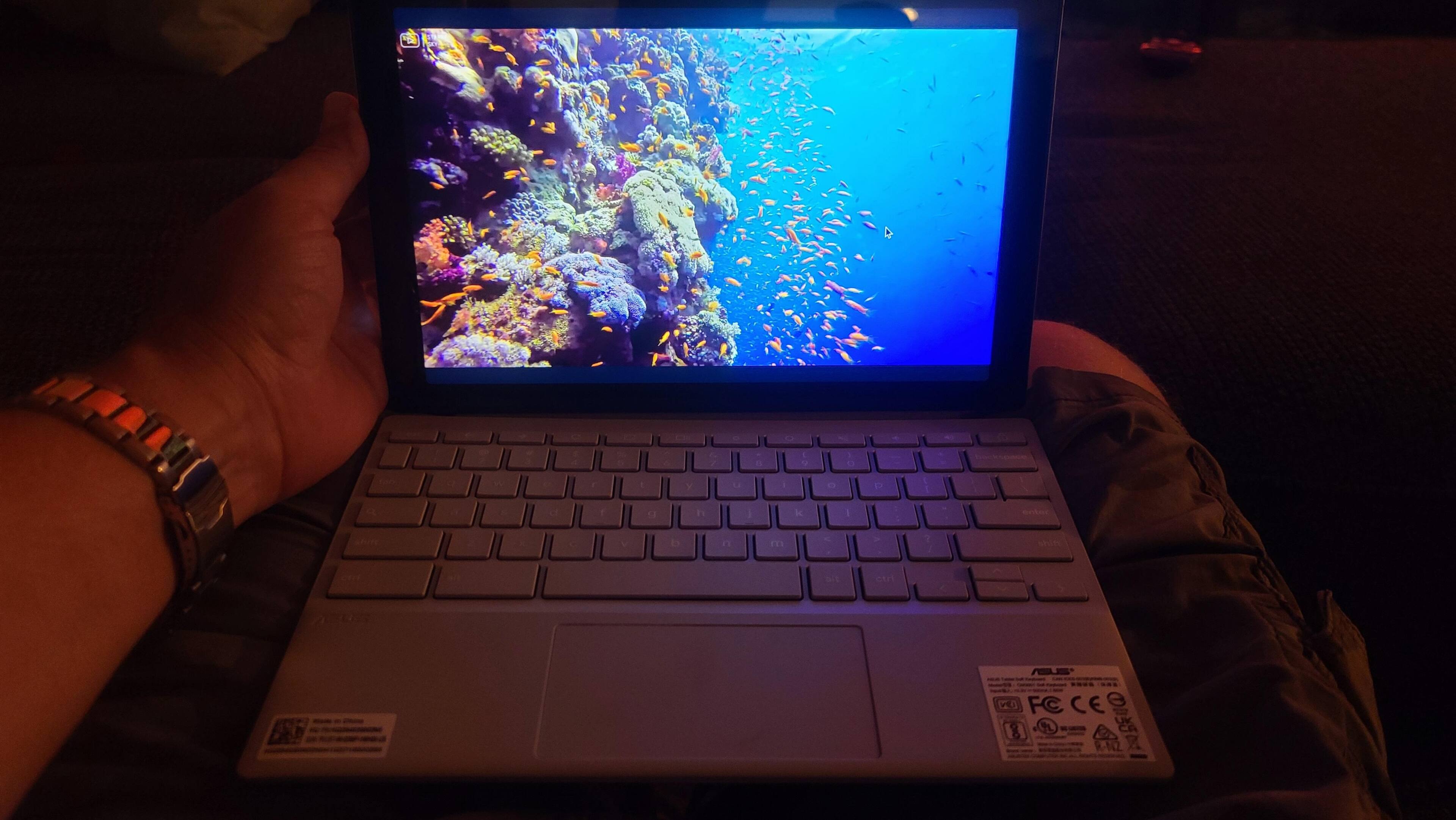 Customer provided, click to load a larger version