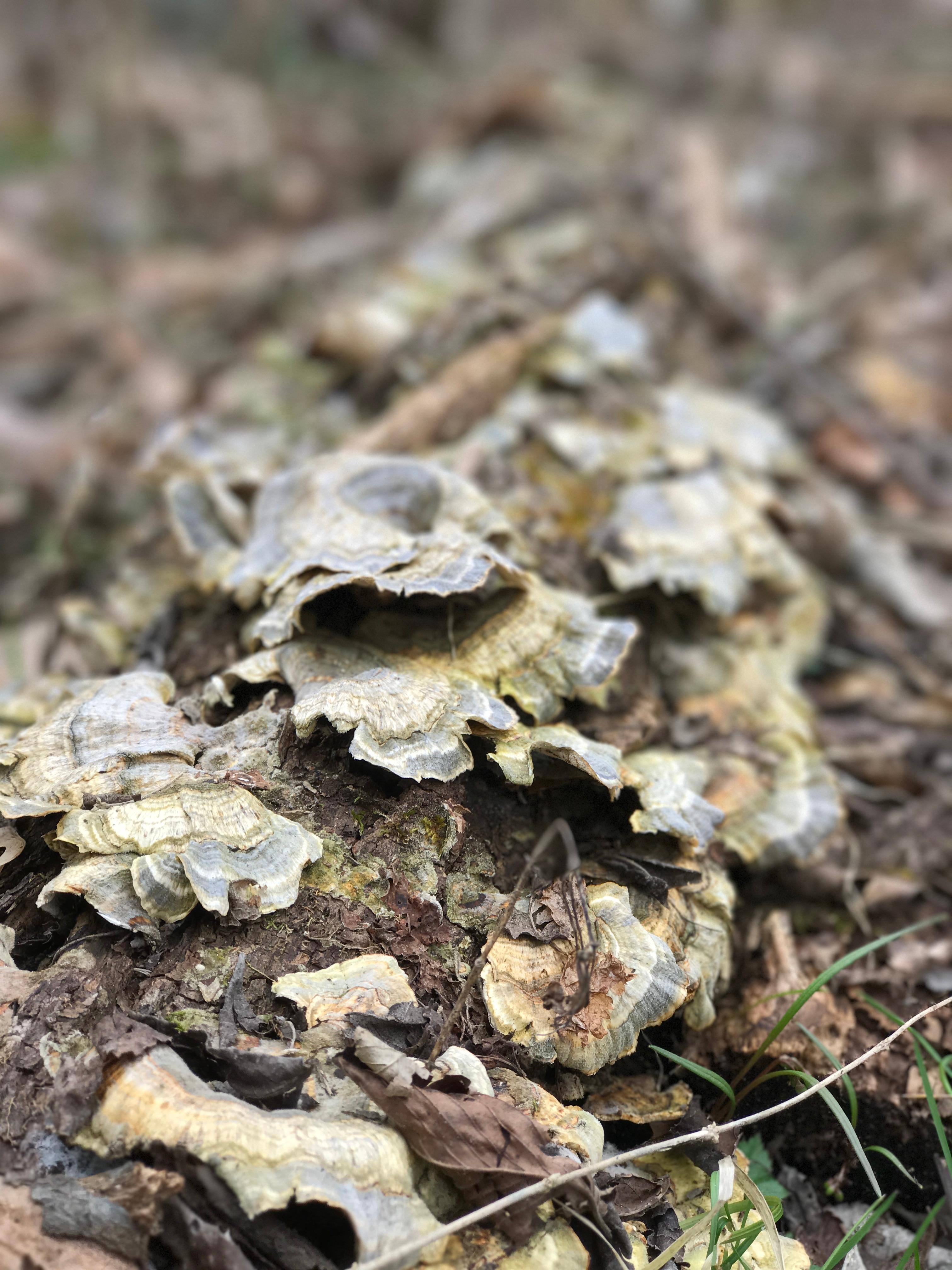 These pics are amazing!!, click to load a larger version