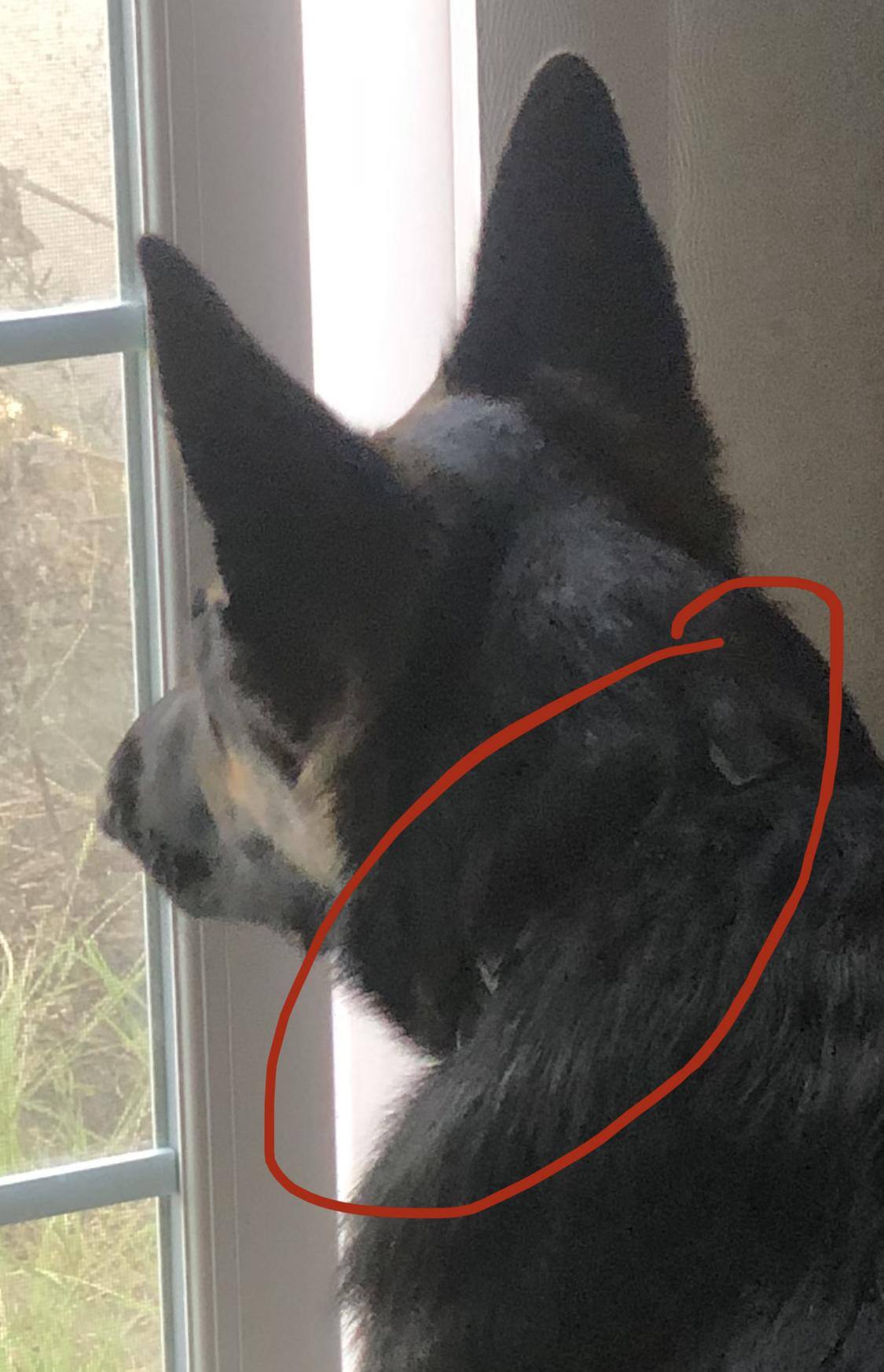 Customer provided image, click to load a larger version