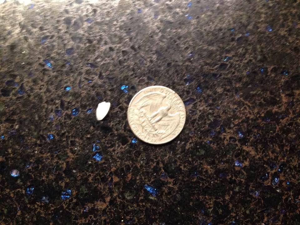 Ice maker plastice, click to load a larger version