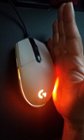 Palm centered on the mouse., click to load a larger version