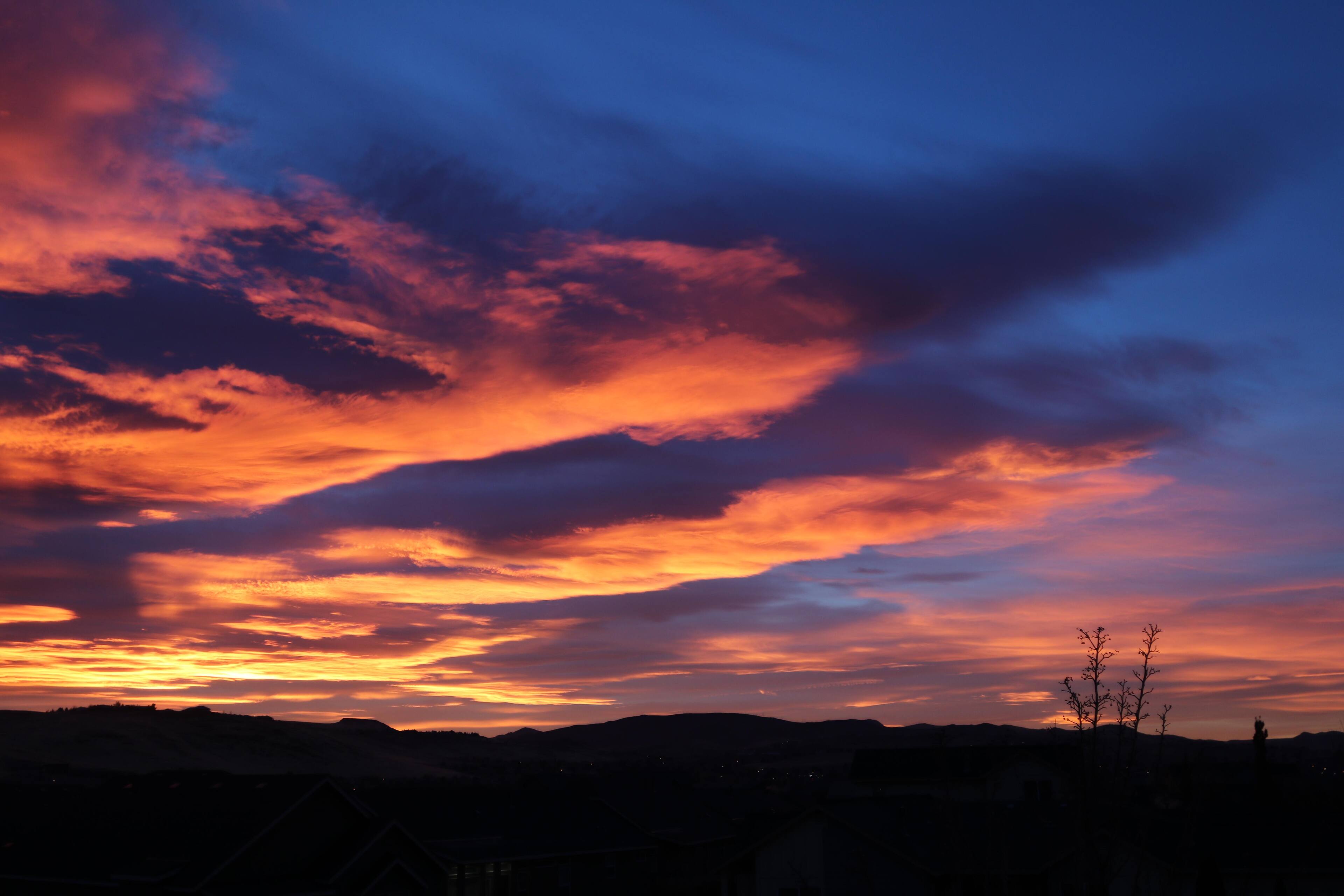 20mm EF-L, click to load a larger version