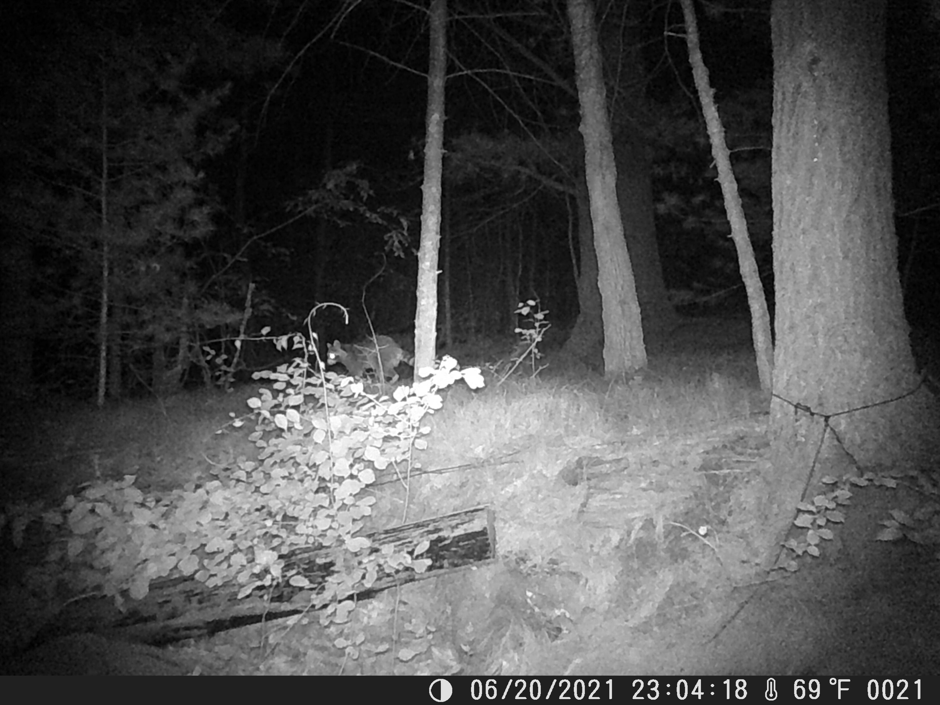 better night shot than I expected, click to load a larger version