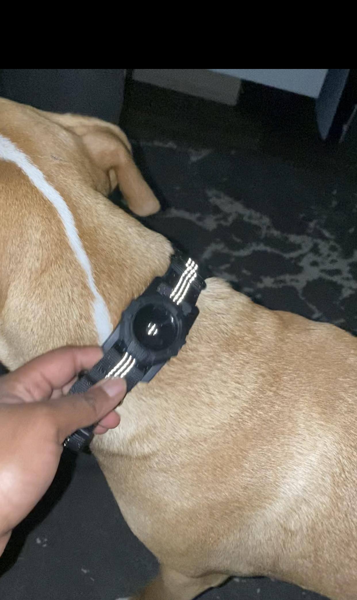 Customer provided image, click to load a larger version