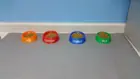 custom pet food bowls, click to load a larger version