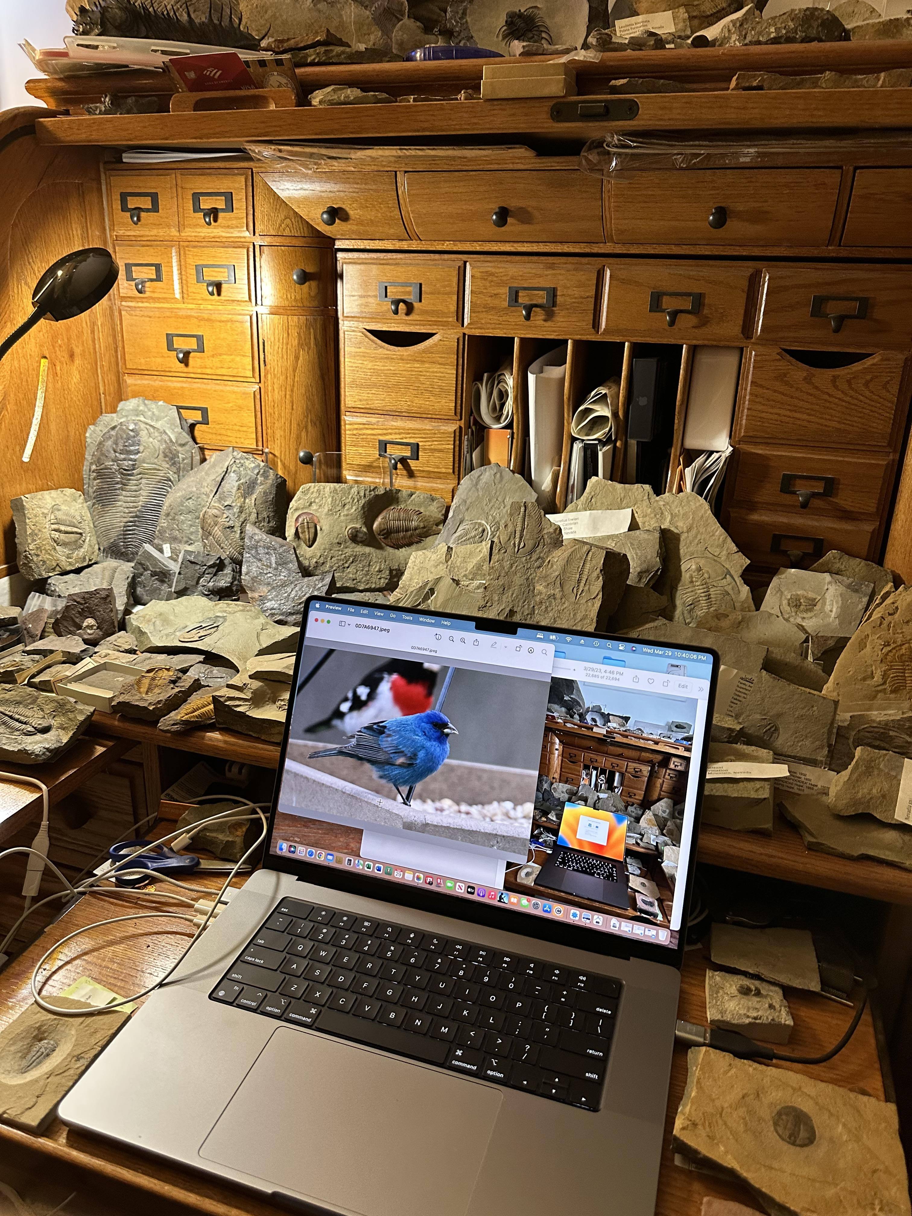 Customer provided image, click to load a larger version