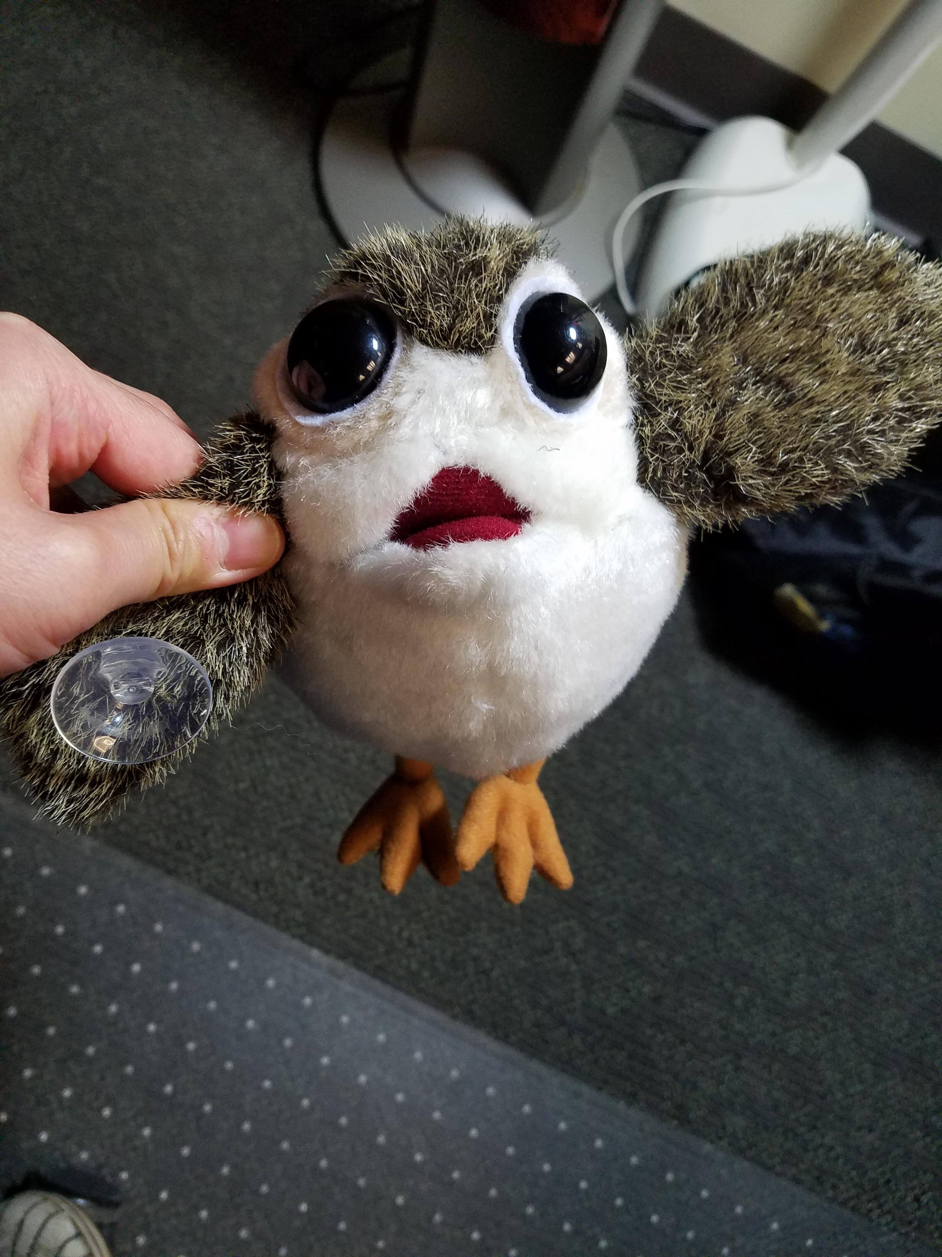 What I received, click to load a larger version