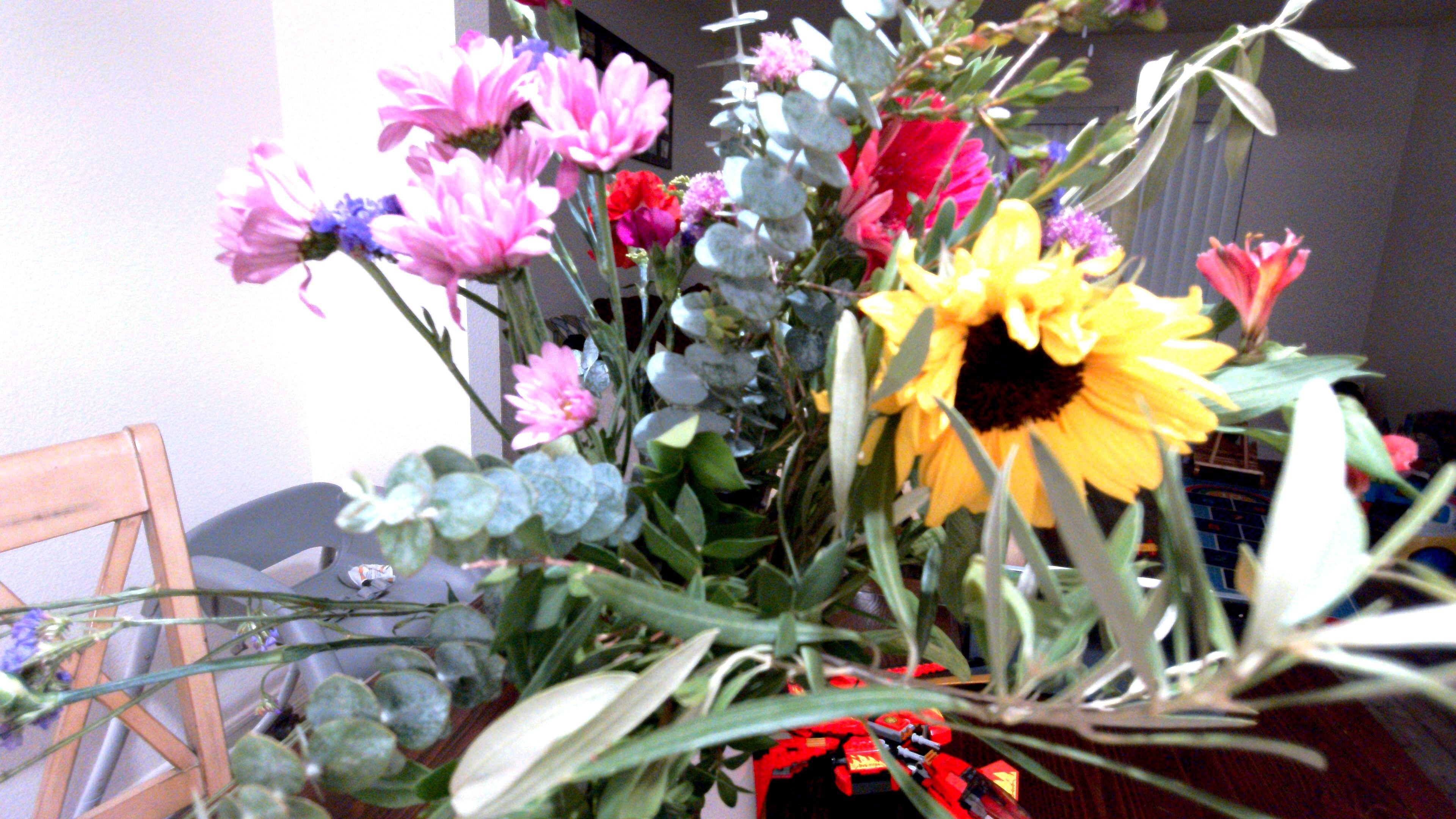 Camera sample, click to load a larger version