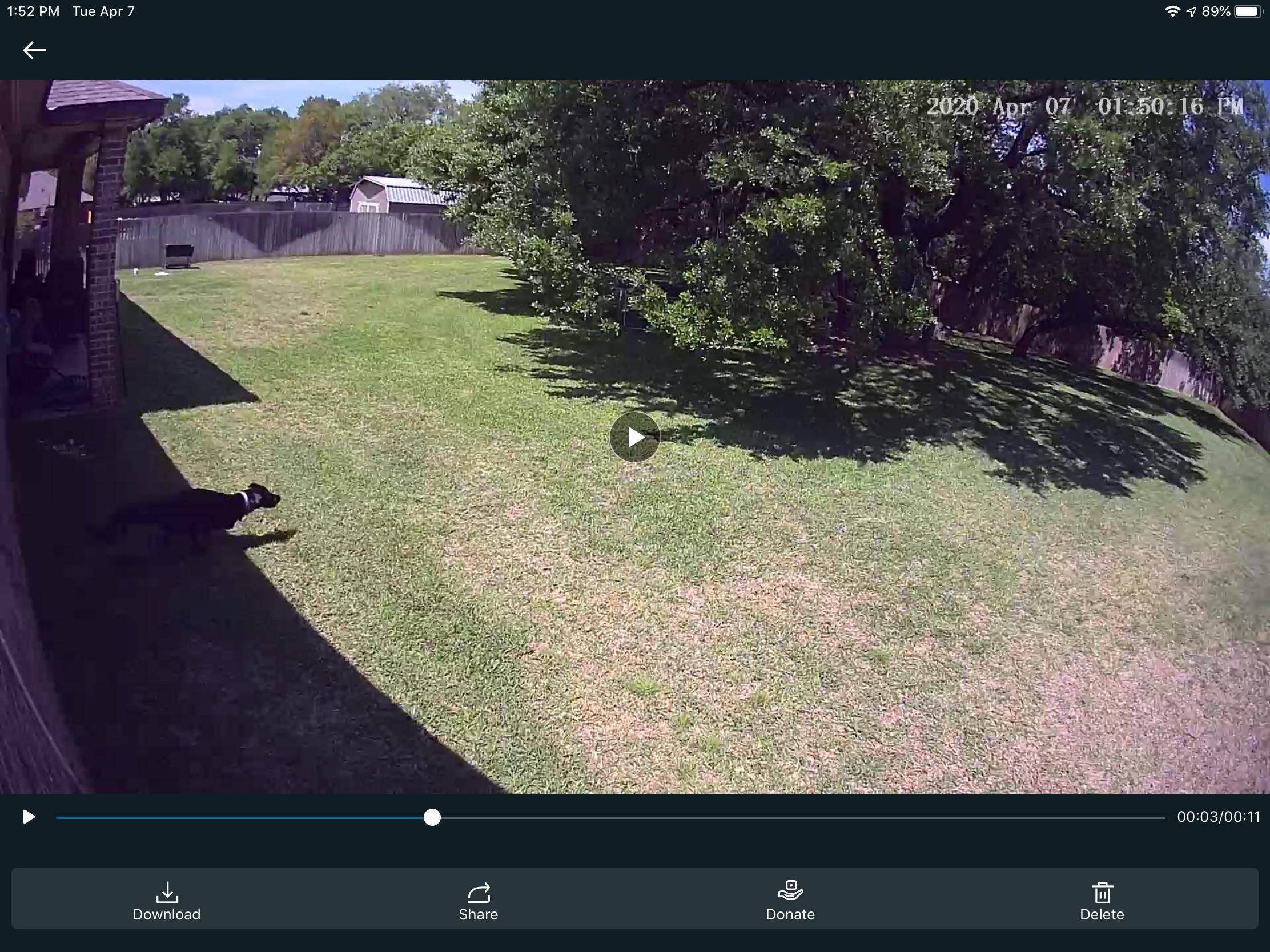 Motion blur and ghosting in dark areas. Here the dog is extended to s strange shape, click to load a larger version