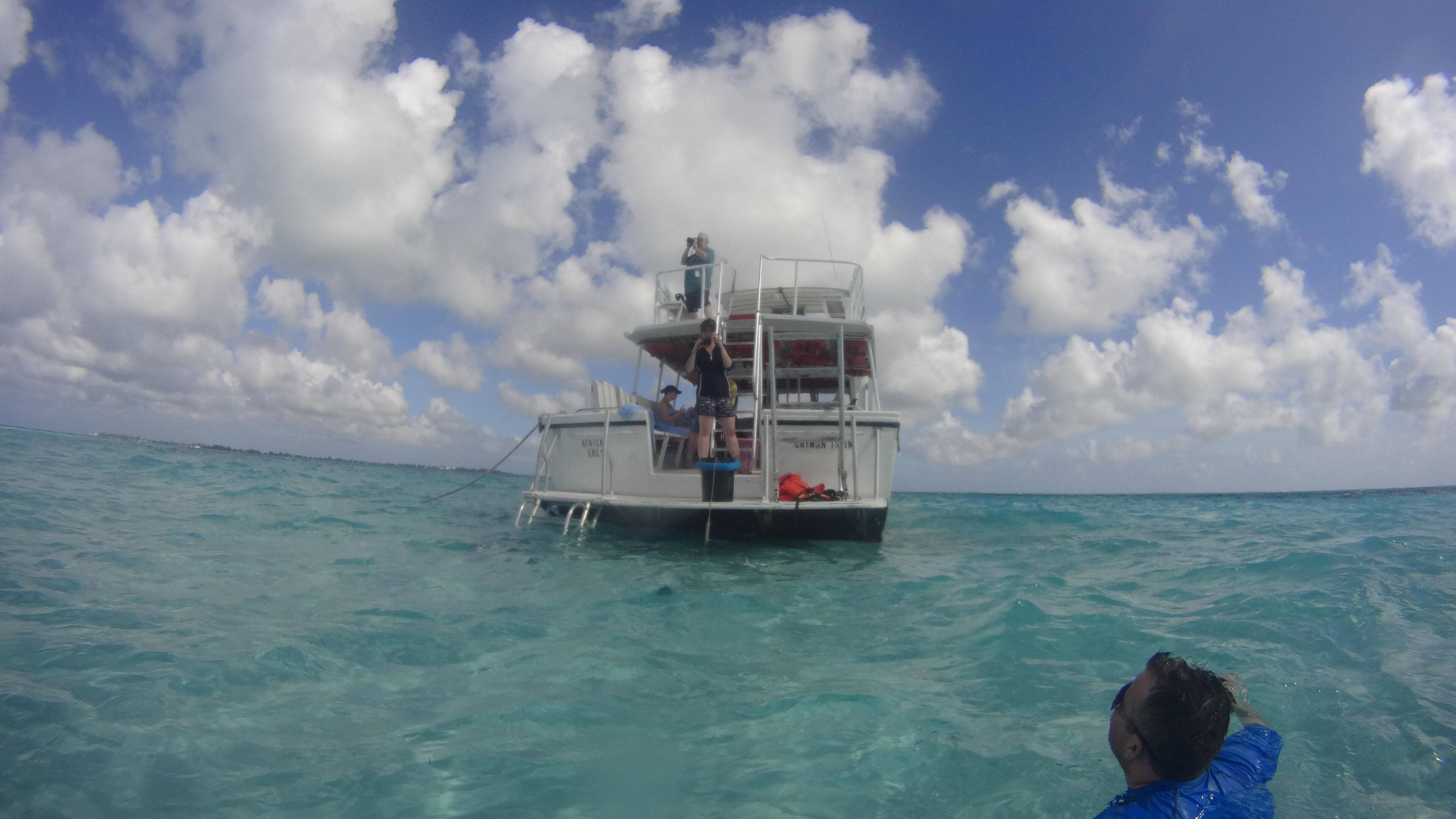 Swim with stingrays in Grand Camen, click to load a larger version