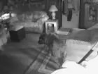IR daylight looks the same at night, click to load a larger version