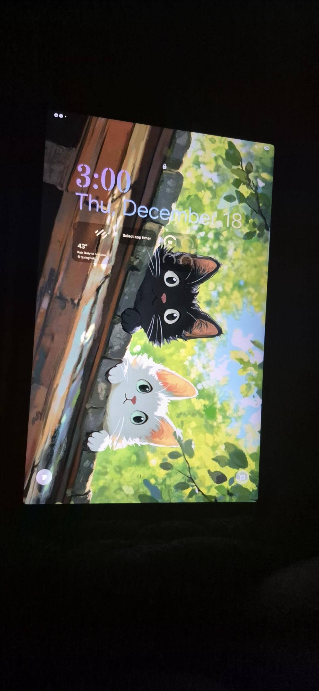 Customer provided image, click to load a larger version