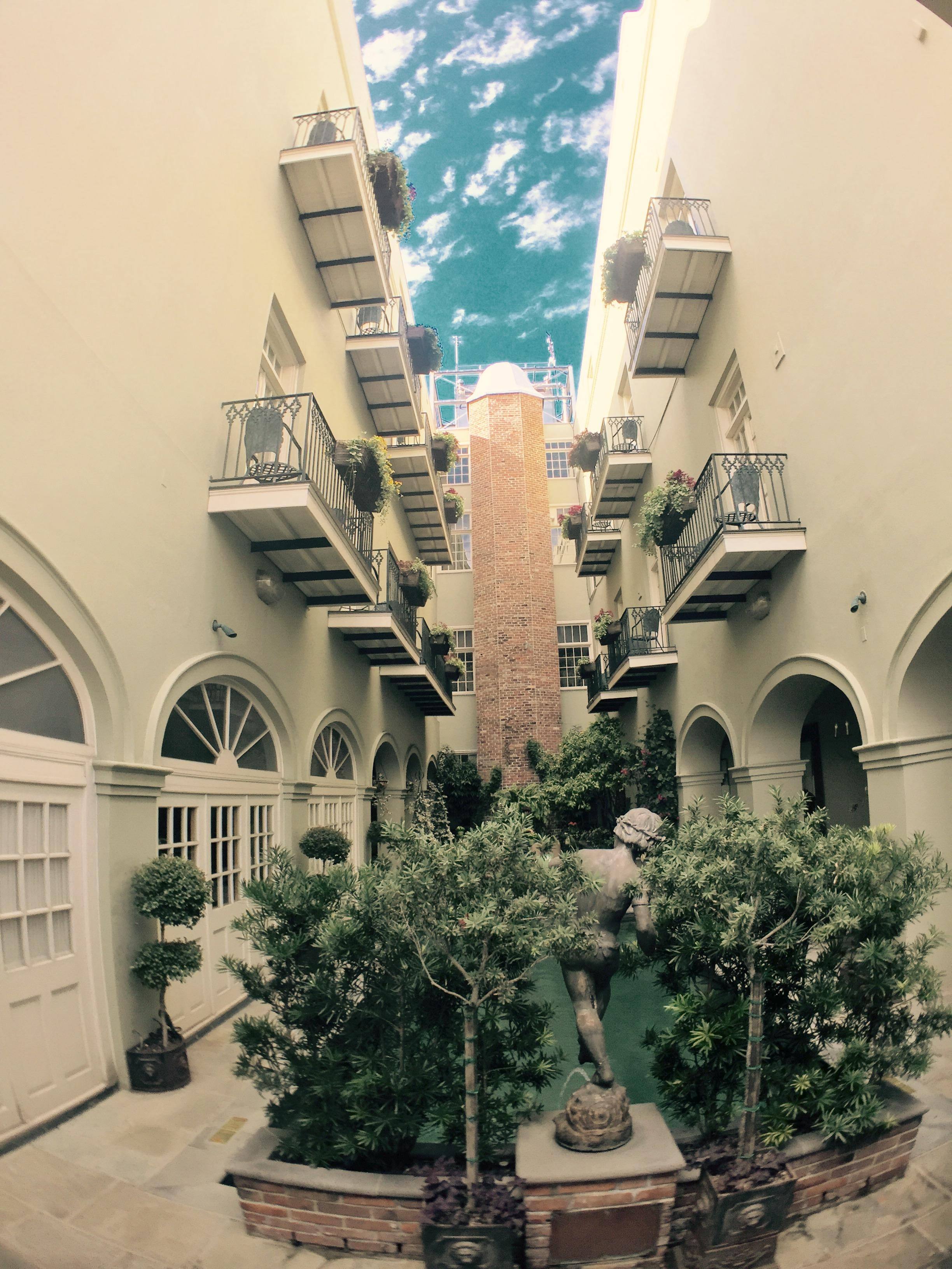 Nola, click to load a larger version