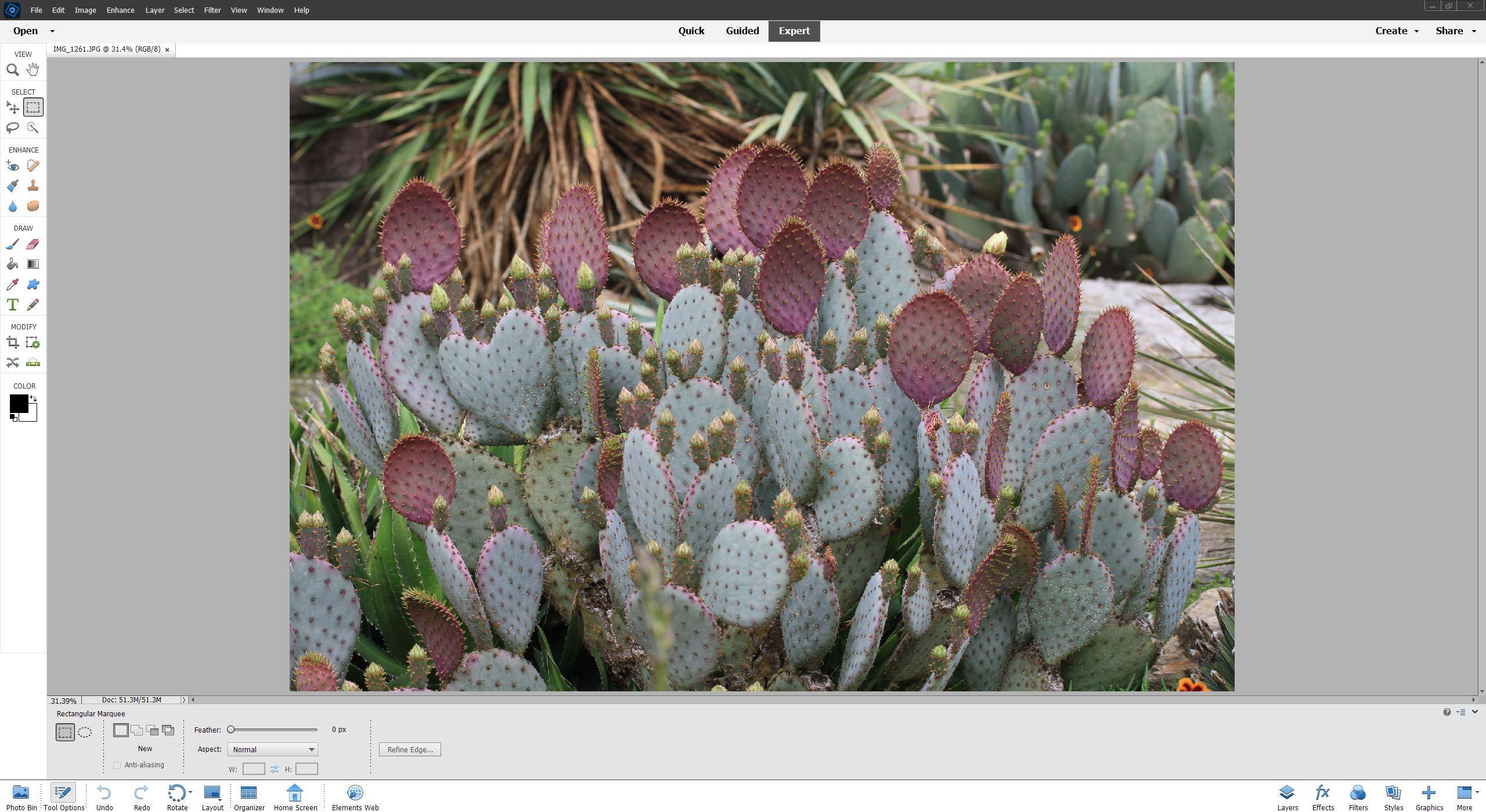 (Photo on screen taken by ME):  The expert mode gives you many more tools on the side tool bar and top menu area which allows you to do a ton of varied edits once you gain experience.  Many people may find they only need Elements for their needs., click to load a larger version