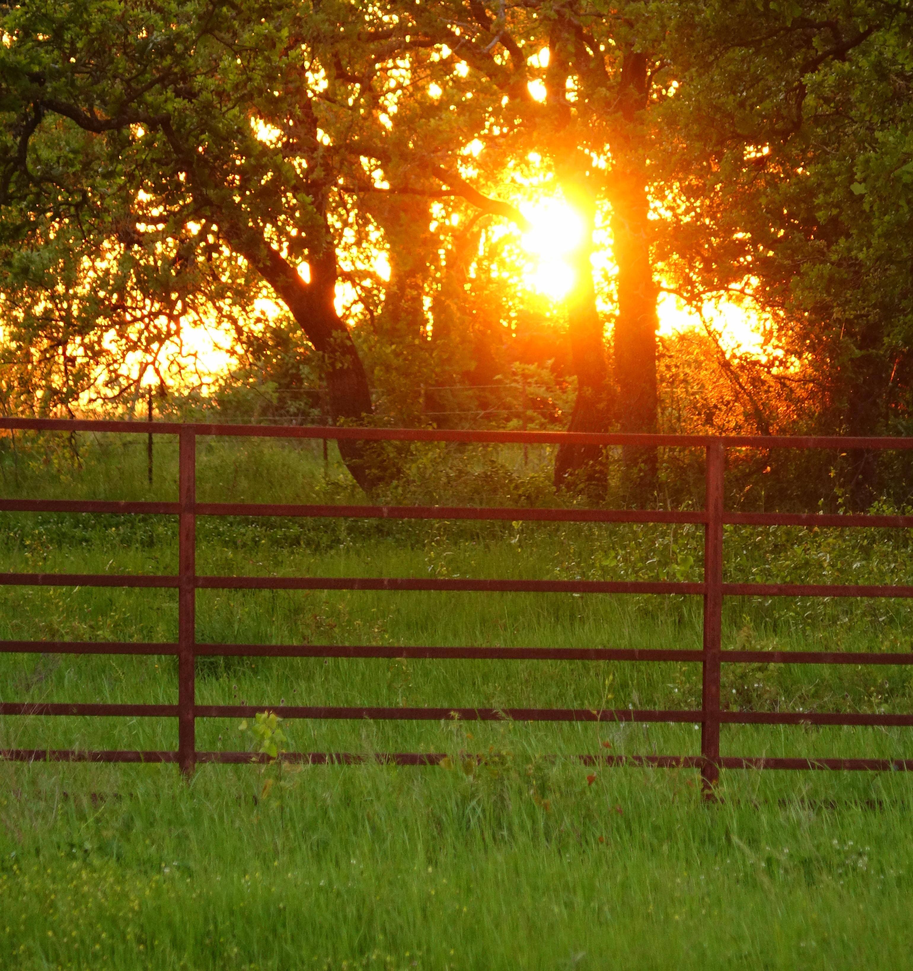 Sunset oh so bright!, click to load a larger version