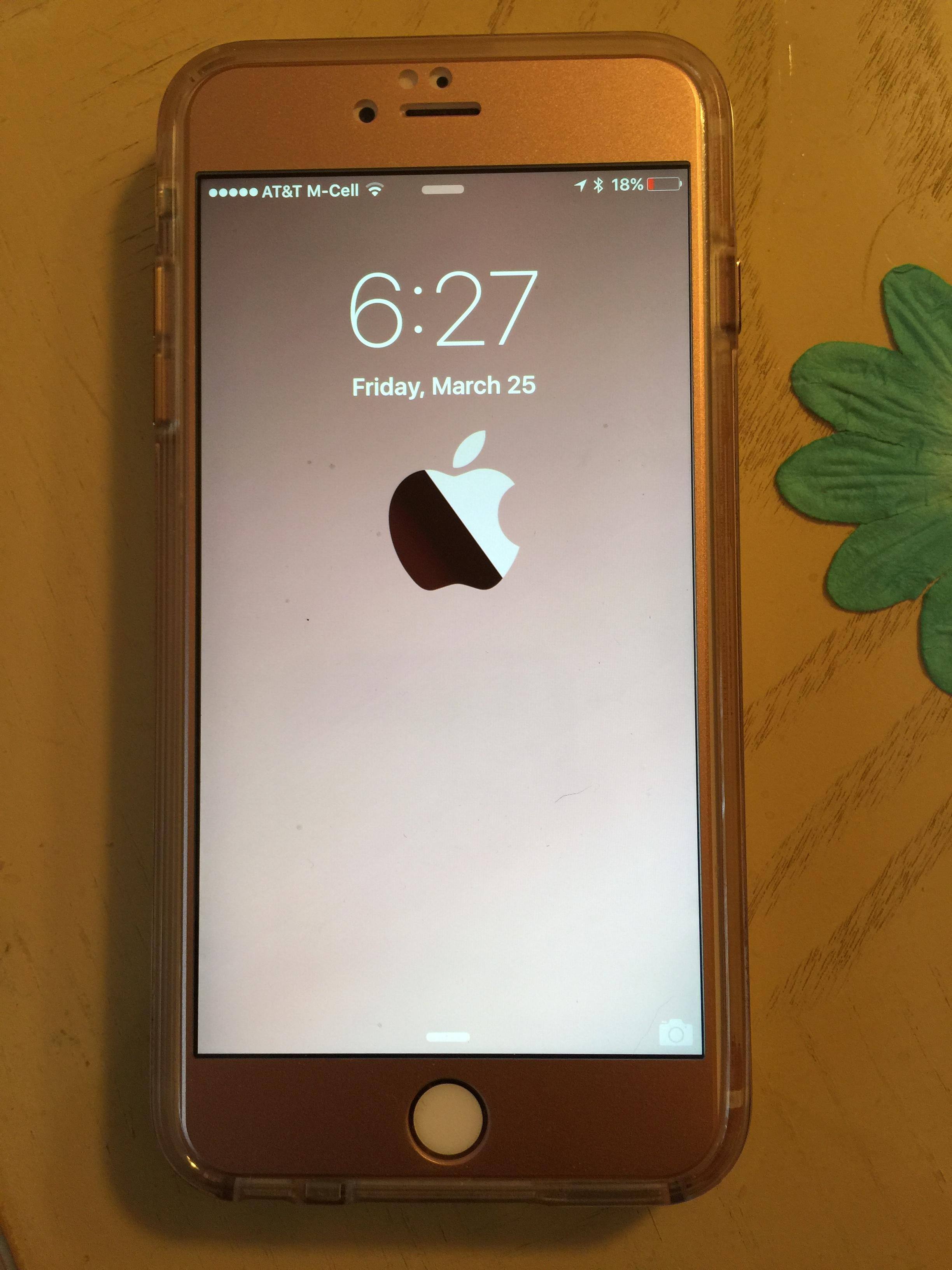 Front, click to load a larger version