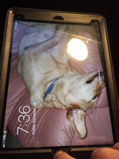 Customer provided image, click to load a larger version