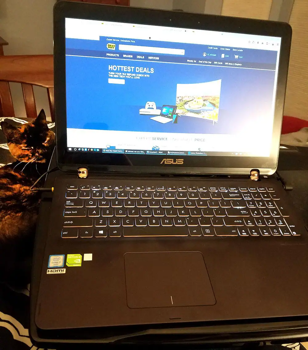 Caroline kitty approved (if you can find her), click to load a larger version