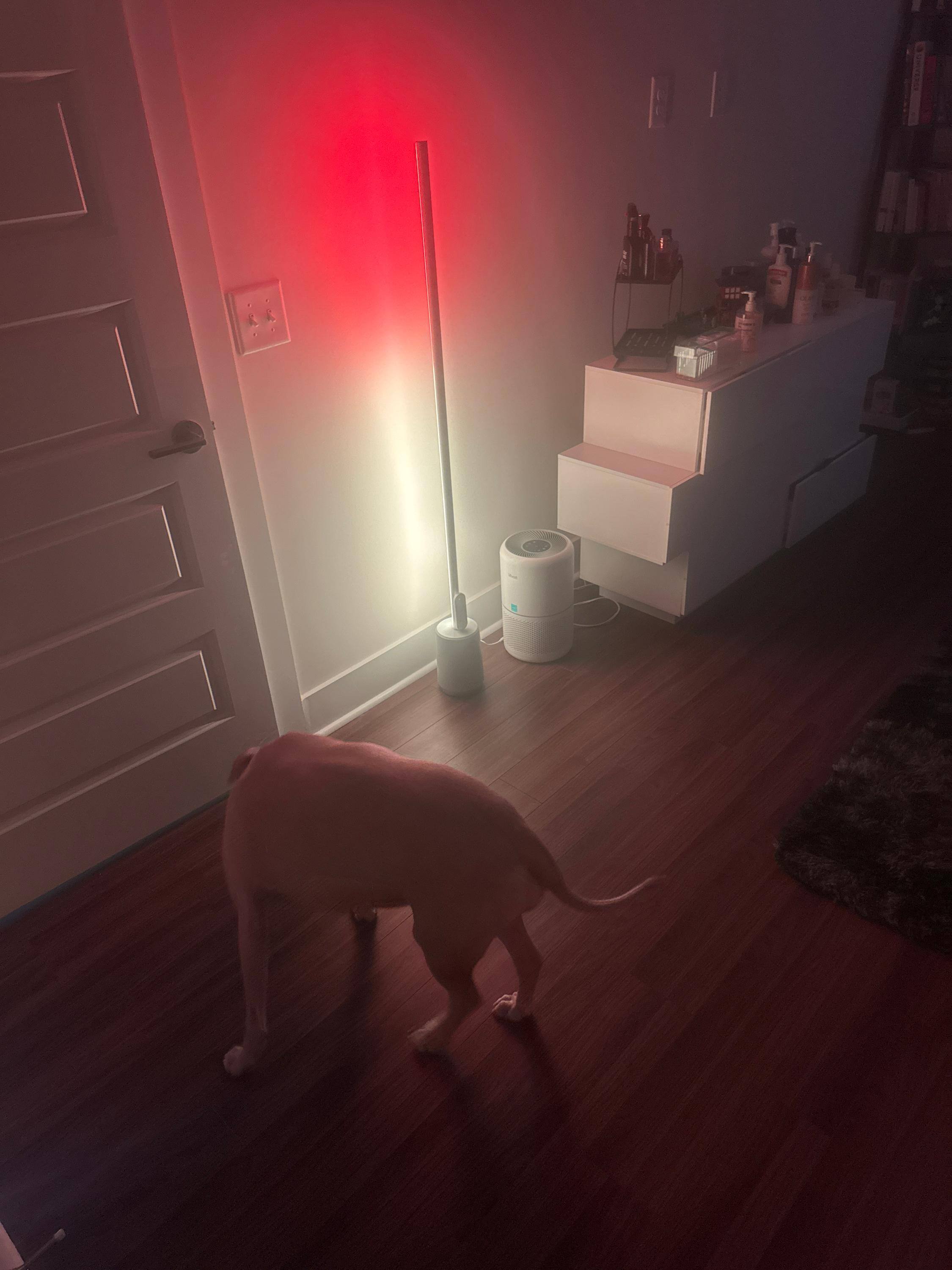 Customer provided image, click to load a larger version