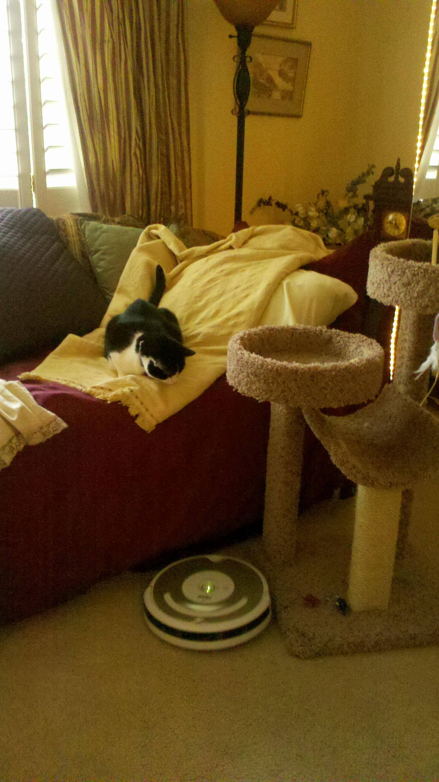 Zoe's new friend!, click to load a larger version